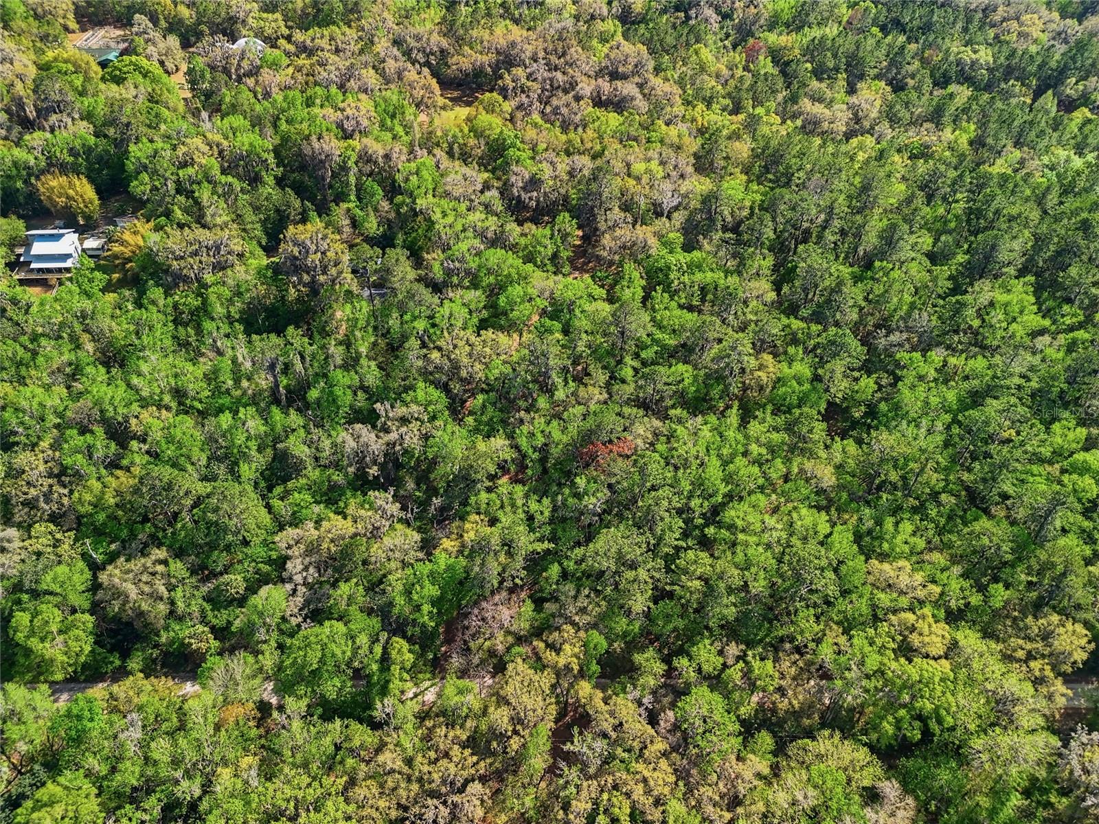 SIMONTON FARMS/CREEKSIDE - Residential