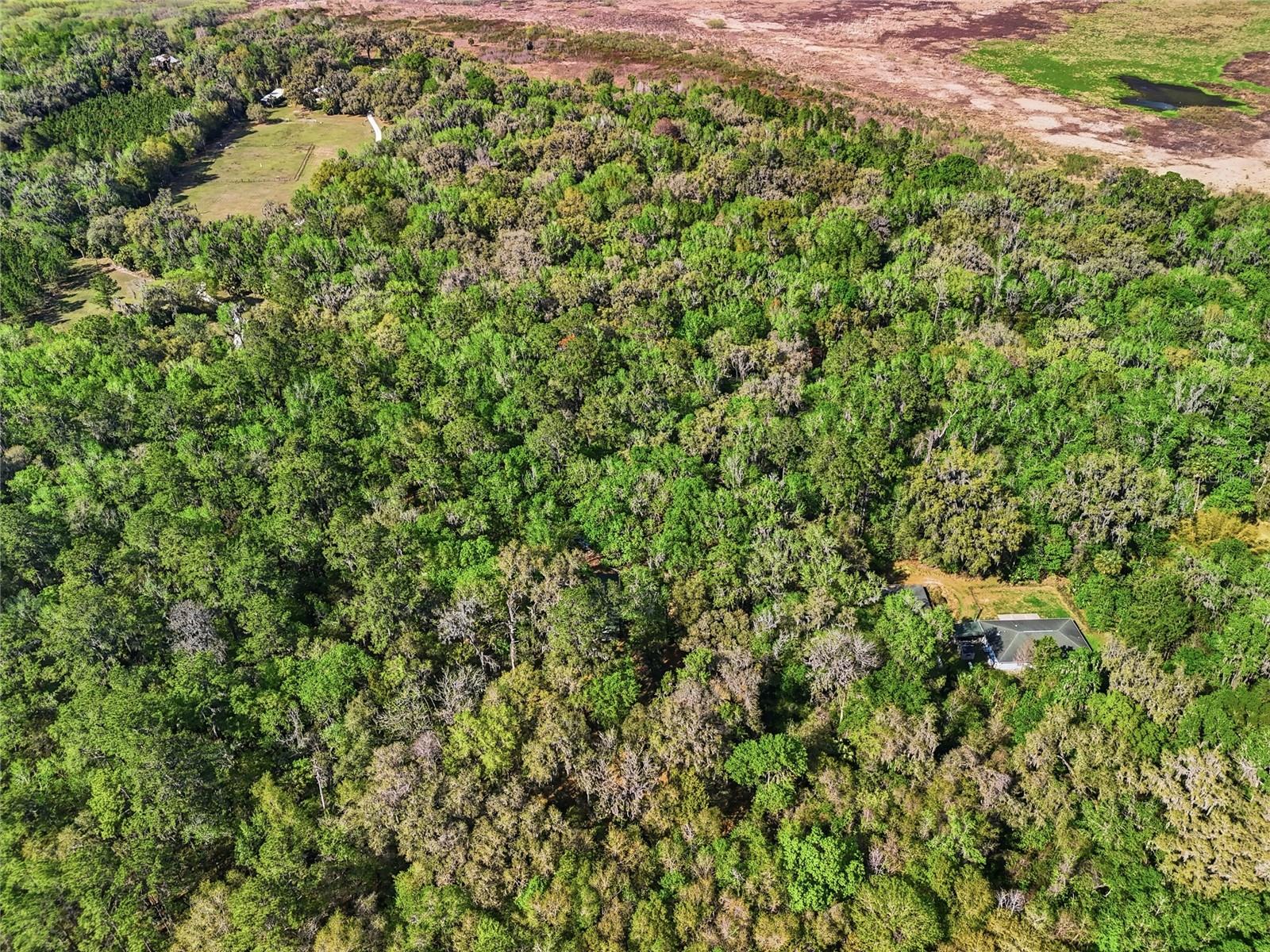 SIMONTON FARMS/CREEKSIDE - Residential