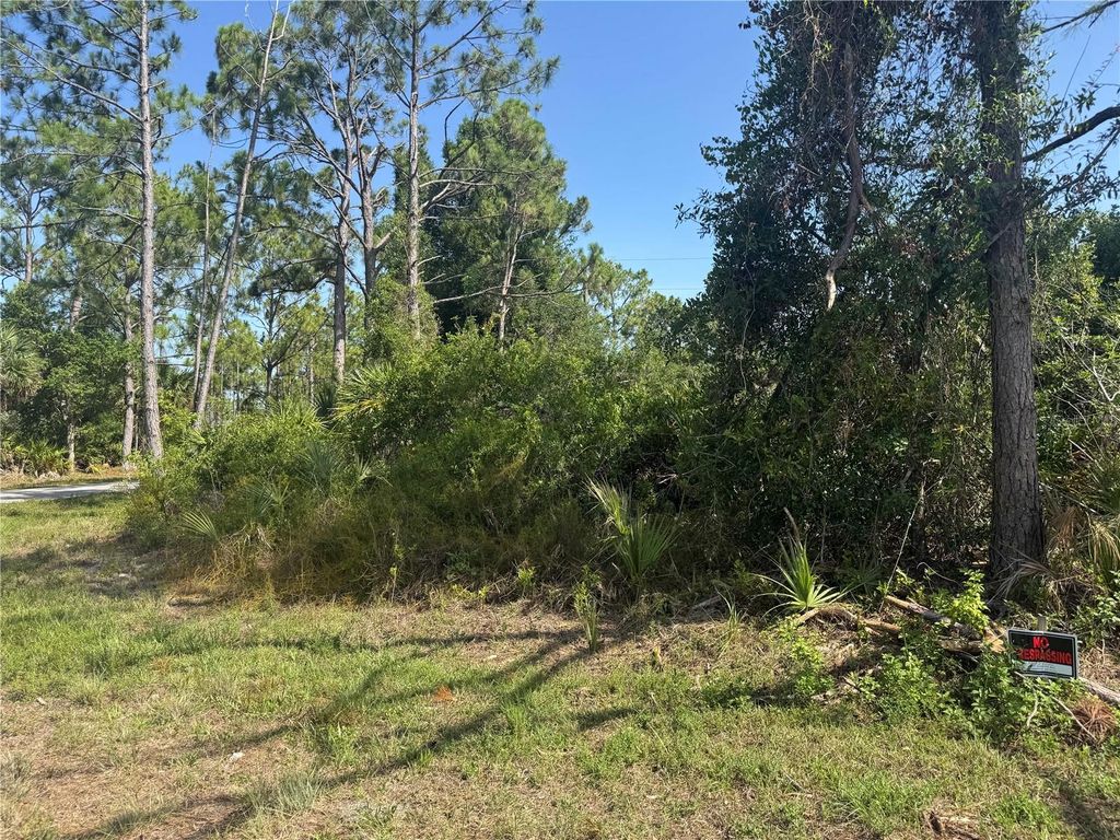 Photo of 12231 Gerrity Avenue, Port Charlotte, FL 33981 (MLS # C7510972)