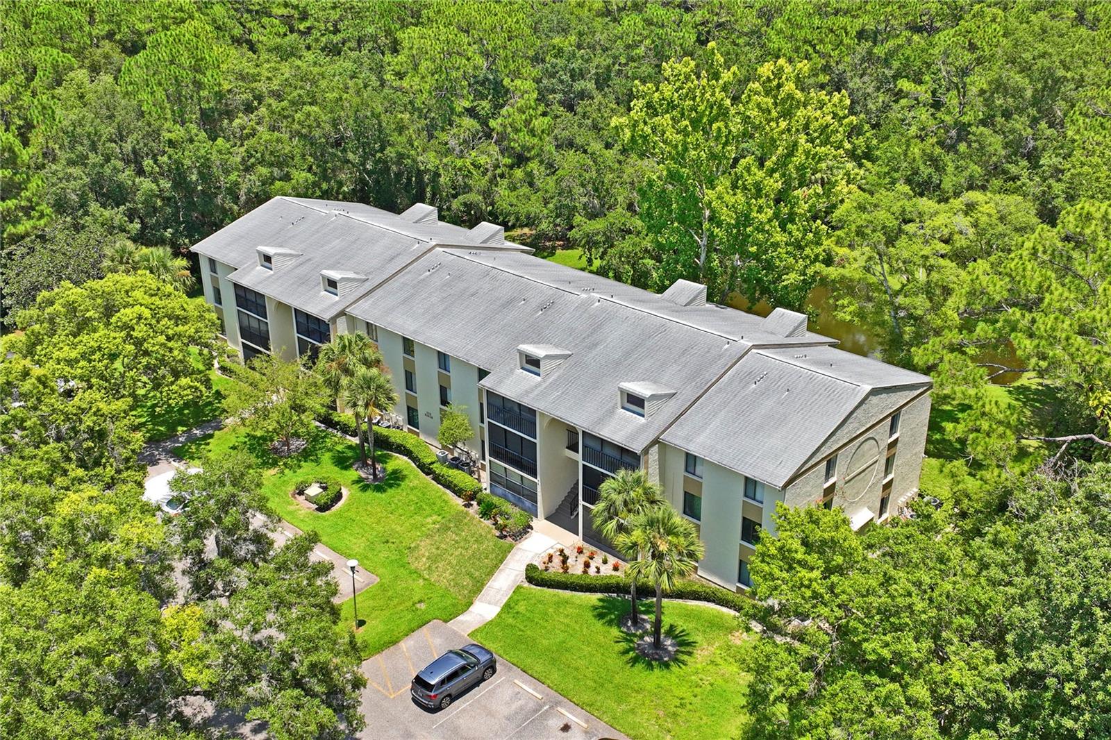 PINE RIDGE AT LAKE TARPON VILLAGE - Residential