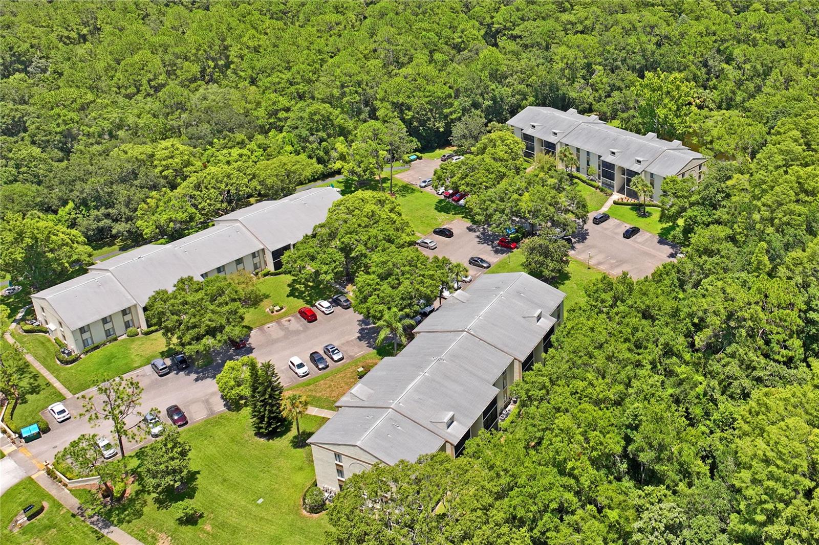 PINE RIDGE AT LAKE TARPON VILLAGE - Residential