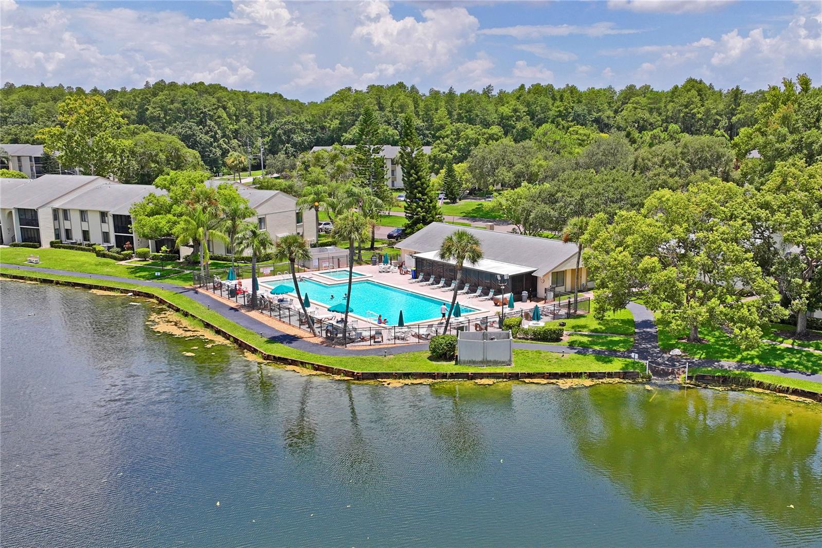 PINE RIDGE AT LAKE TARPON VILLAGE - Residential