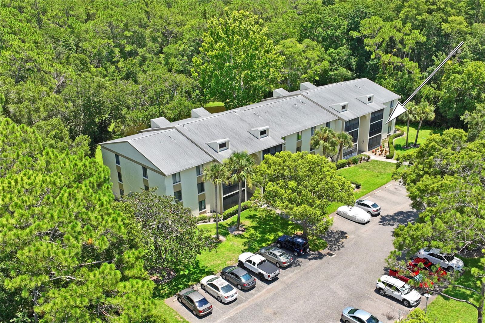PINE RIDGE AT LAKE TARPON VILLAGE - Residential