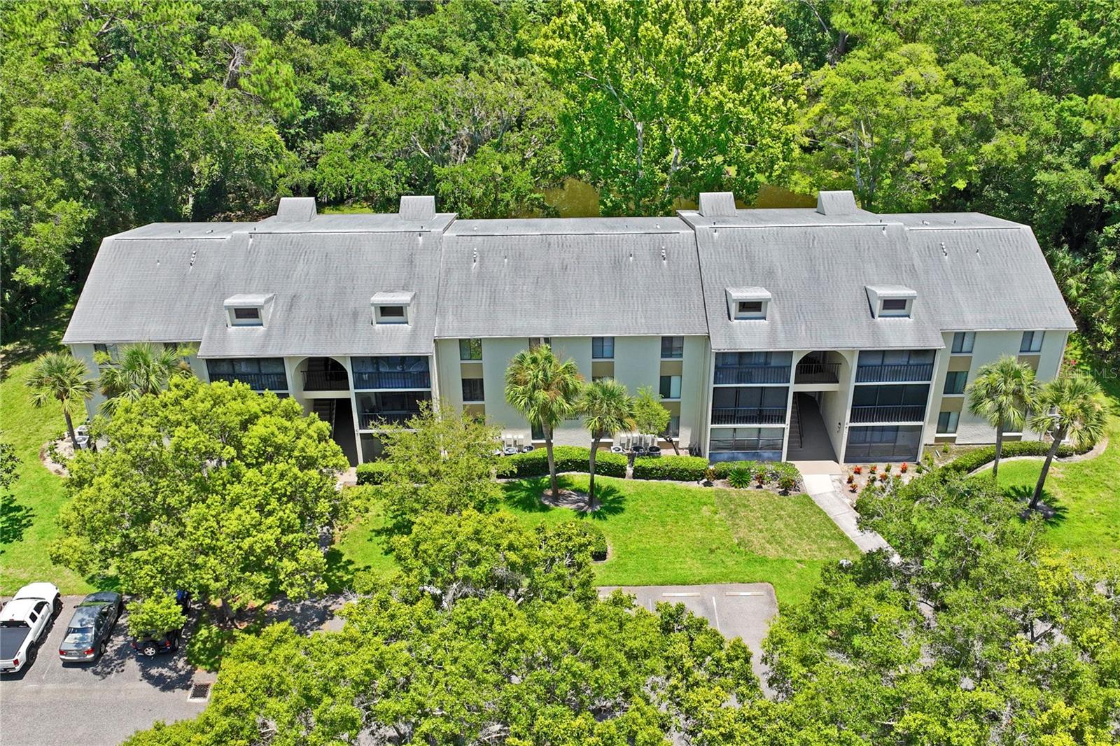 PINE RIDGE AT LAKE TARPON VILLAGE - Residential