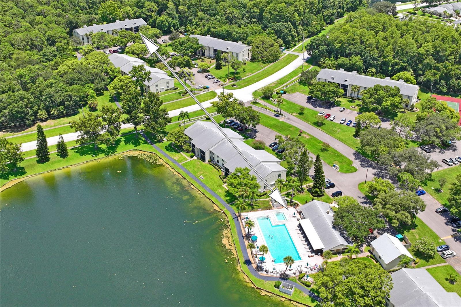 PINE RIDGE AT LAKE TARPON VILLAGE - Residential
