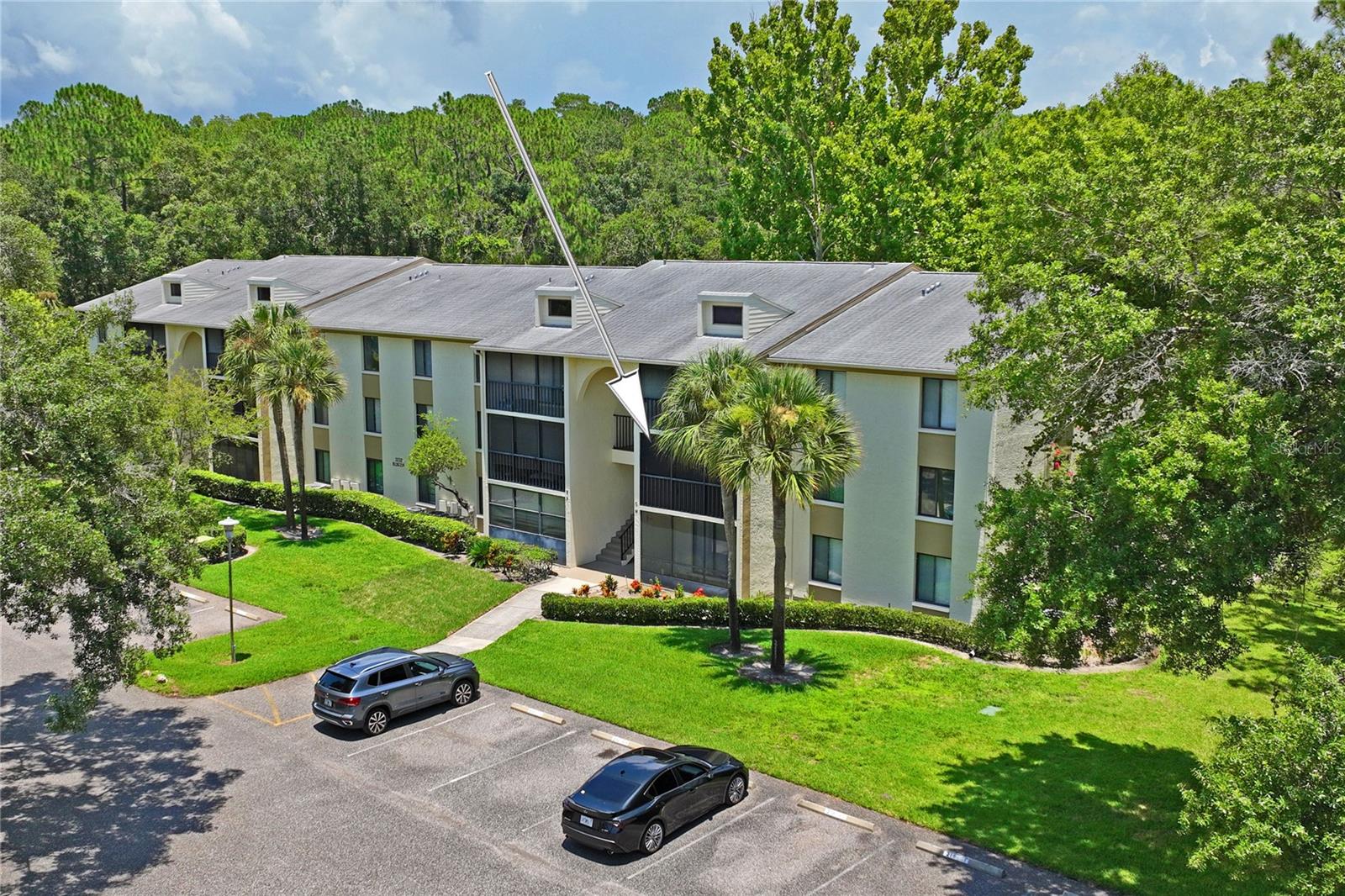 PINE RIDGE AT LAKE TARPON VILLAGE - Residential