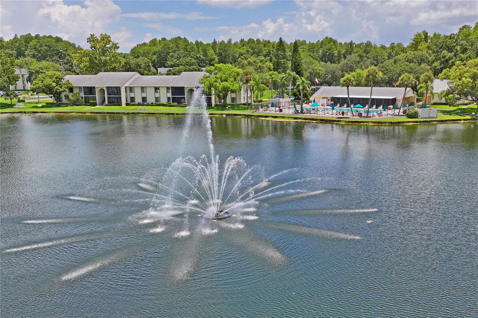PINE RIDGE AT LAKE TARPON VILLAGE - Residential
