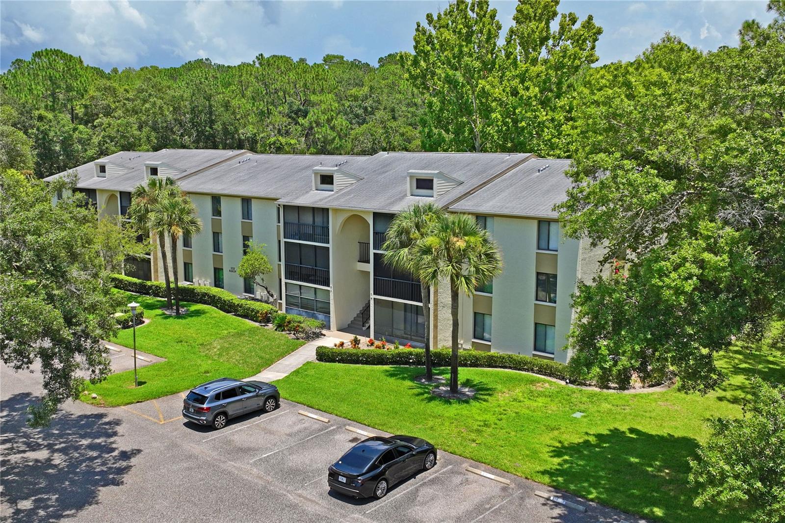 PINE RIDGE AT LAKE TARPON VILLAGE - Residential