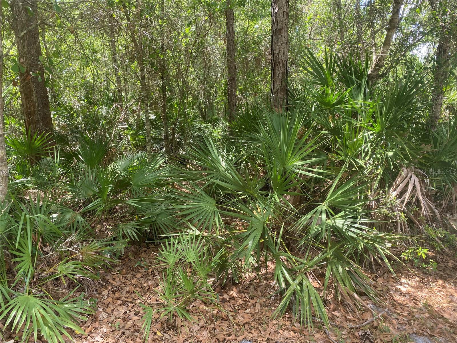 ARCADIA PARK SEC B - Land