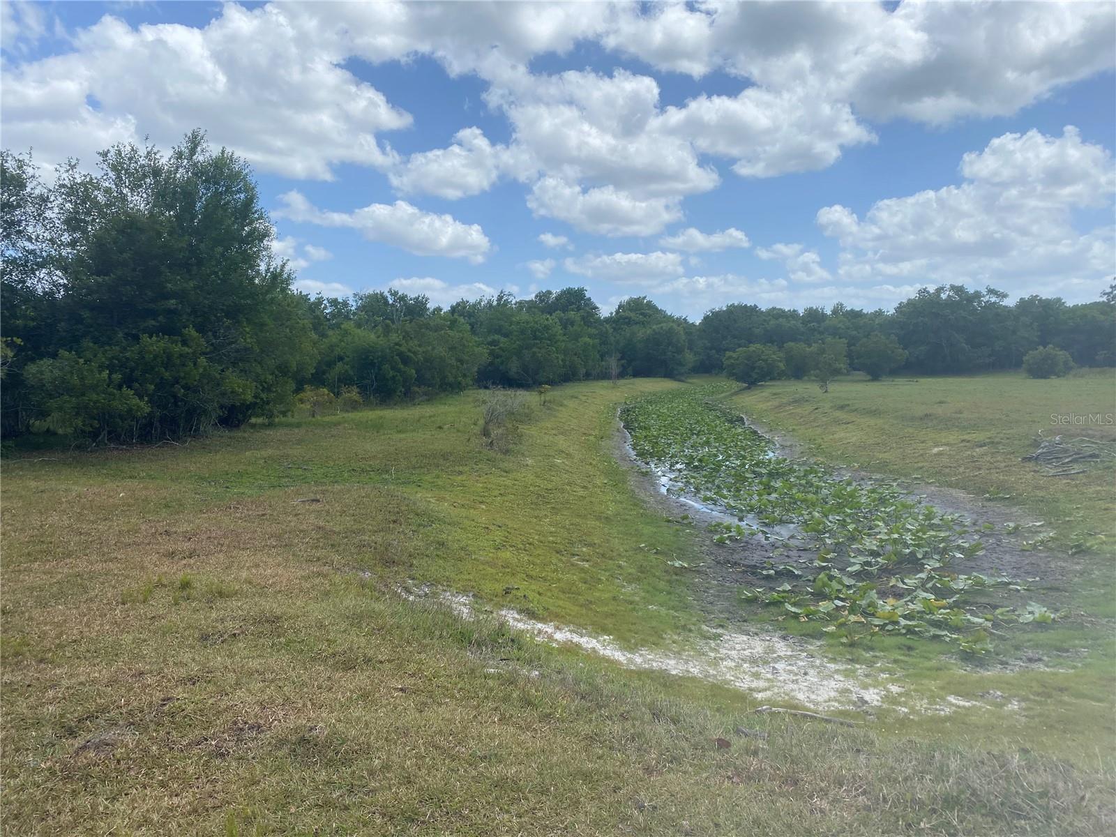 ARCADIA PARK SEC B - Land