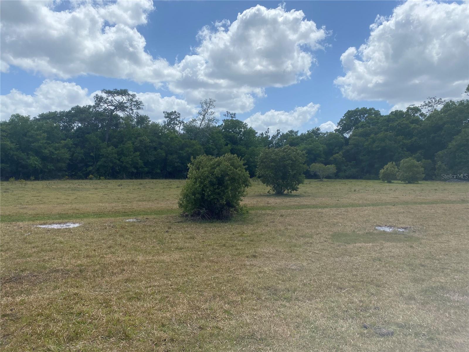 ARCADIA PARK SEC B - Land