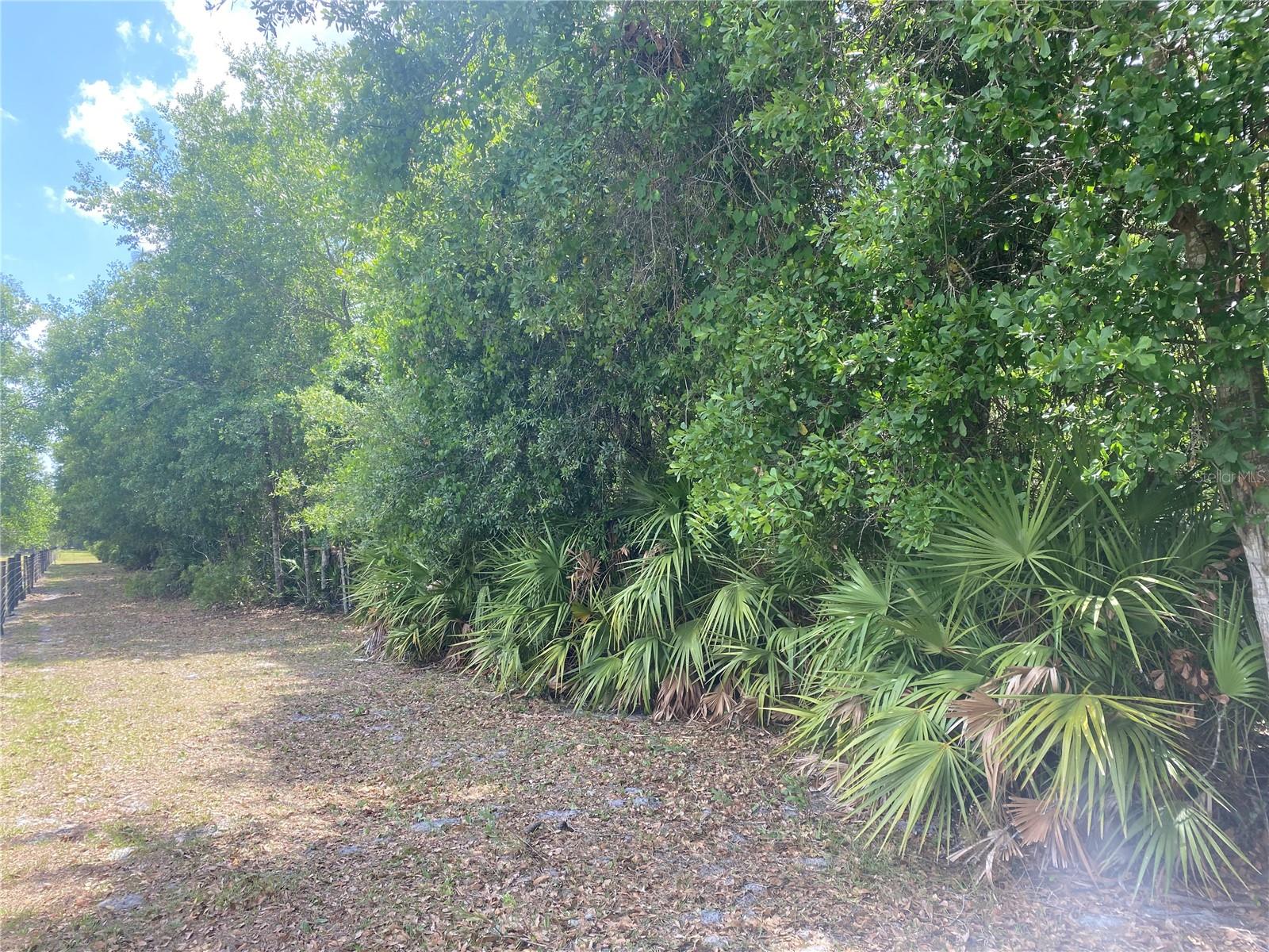 ARCADIA PARK SEC B - Land