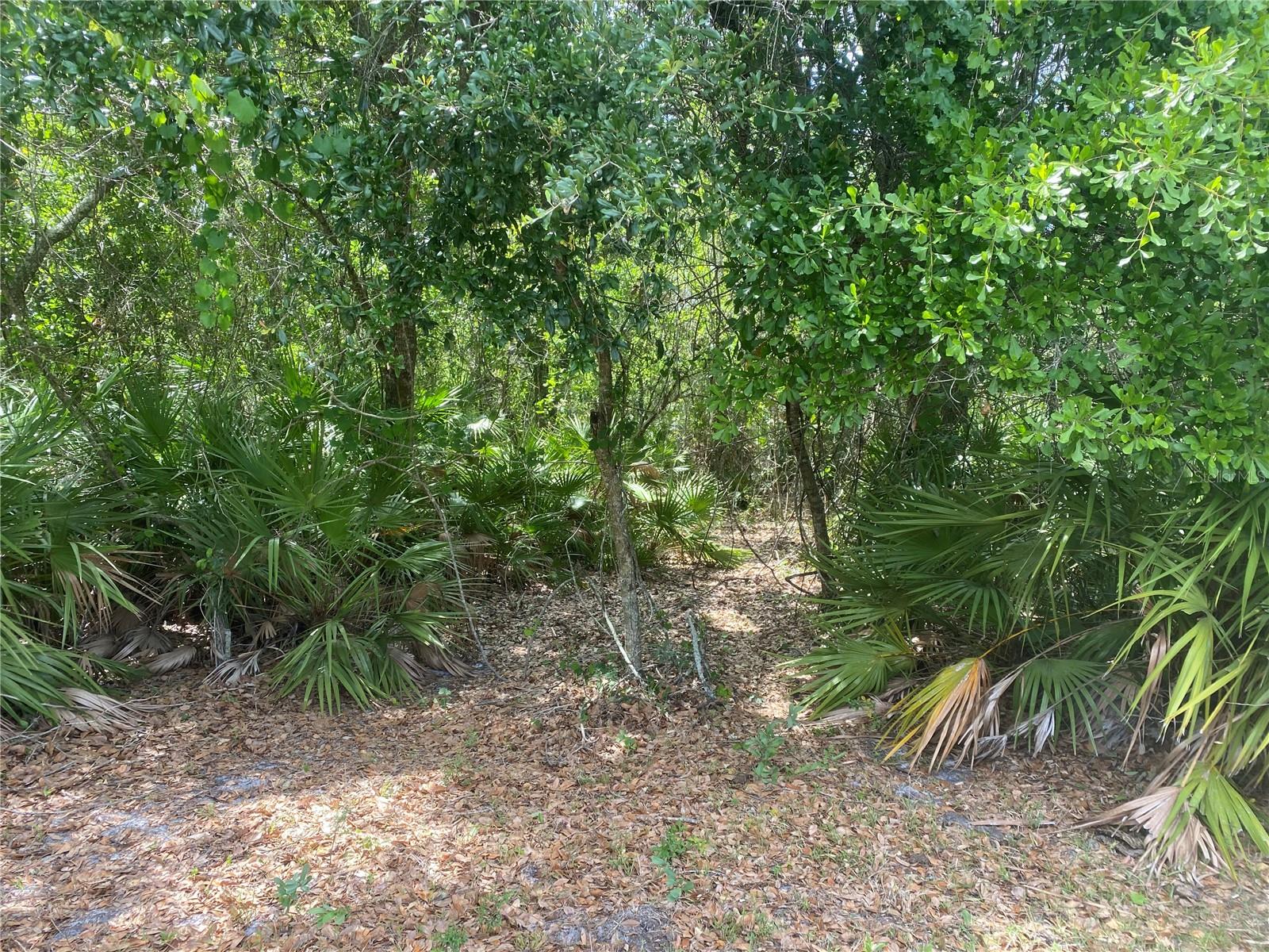 ARCADIA PARK SEC B - Land