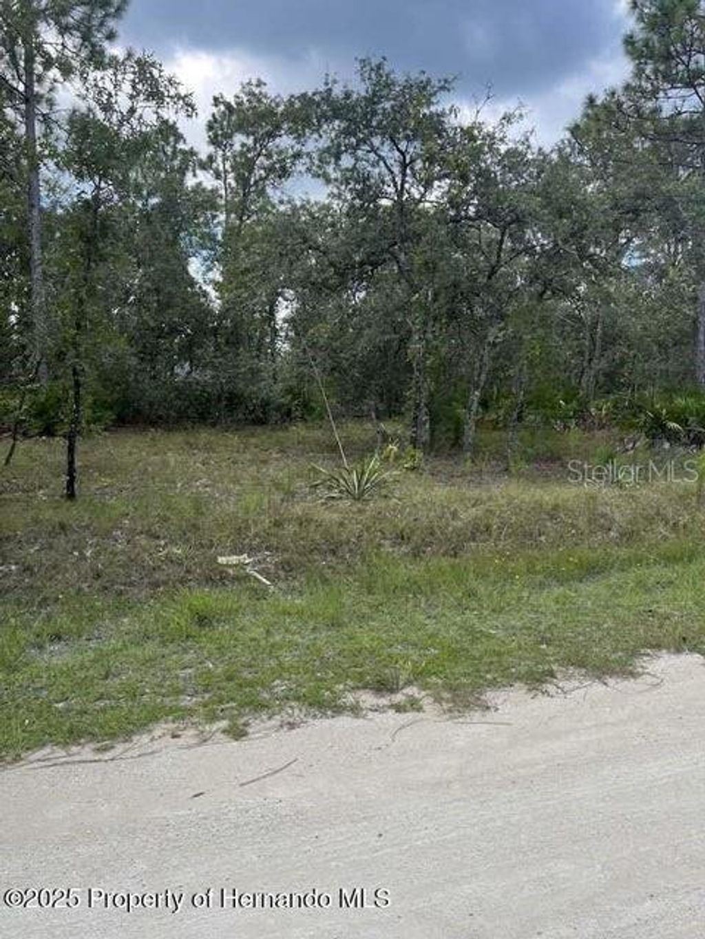 Photo of 0 Zebrafinch Avenue, Weeki Wachee, FL 34614 (MLS # TB8415321)