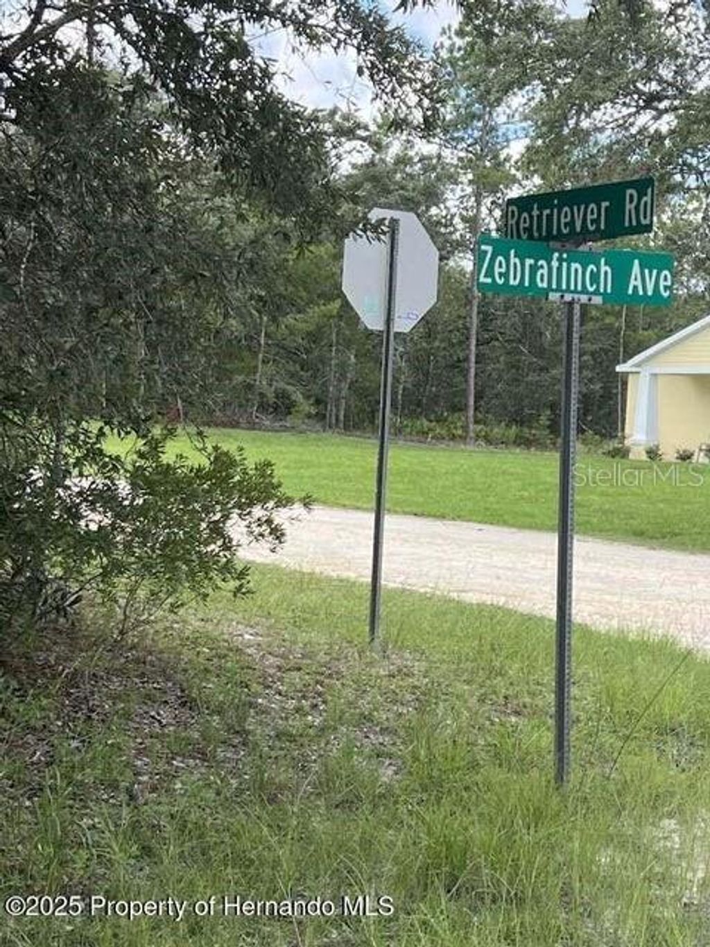 Photo of 0 Zebrafinch Avenue, Weeki Wachee, FL 34614 (MLS # TB8415321)