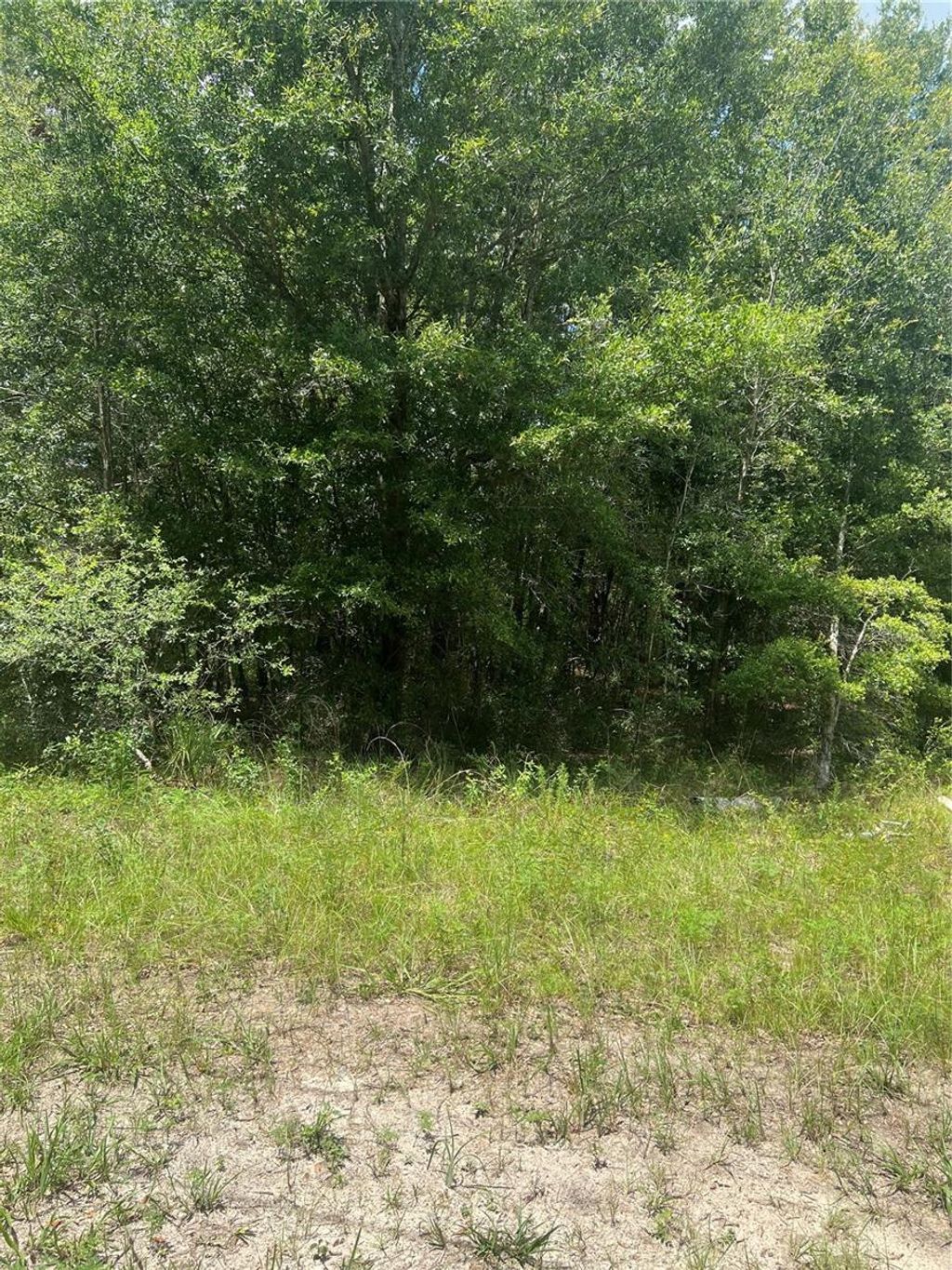 Photo of SE 42nd Terrace, Summerfield, FL 34491 (MLS # OM707378)
