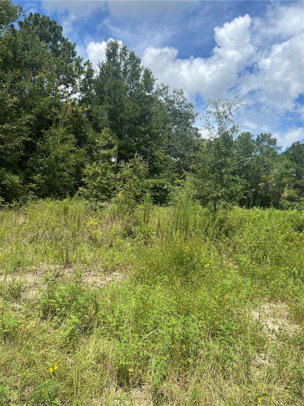 Photo of SE 42nd Terrace, Summerfield, FL 34491 (MLS # OM707378)