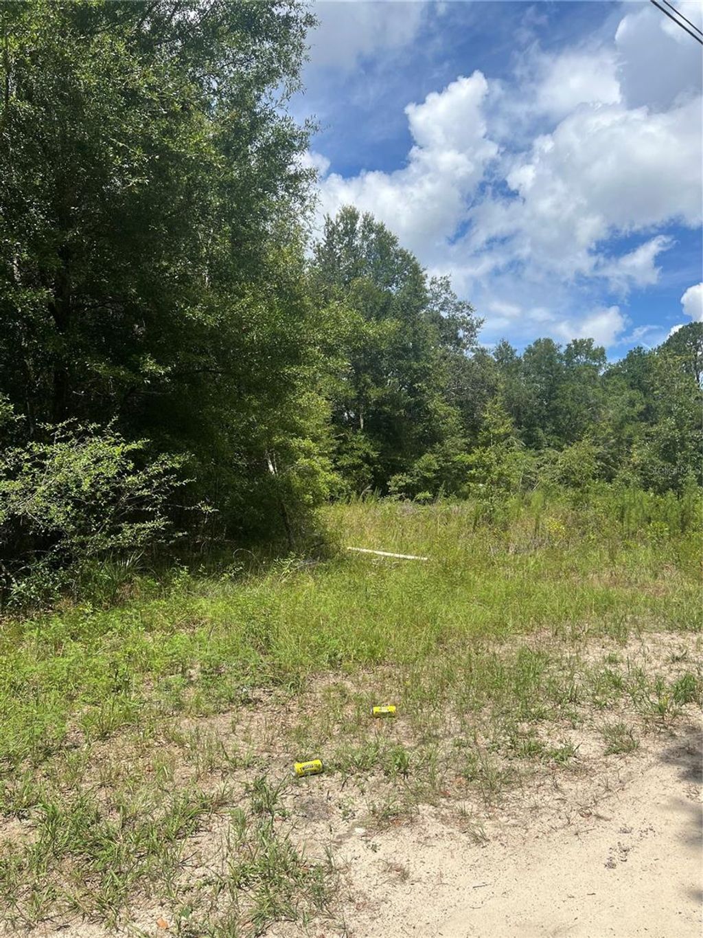 Photo of SE 42nd Terrace, Summerfield, FL 34491 (MLS # OM707378)