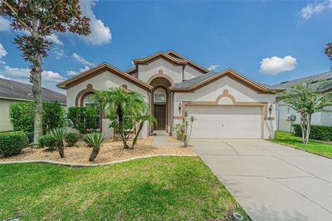 Photo of 11345 Flora Springs Drive, Riverview, FL 33579 (MLS # TB8408600)