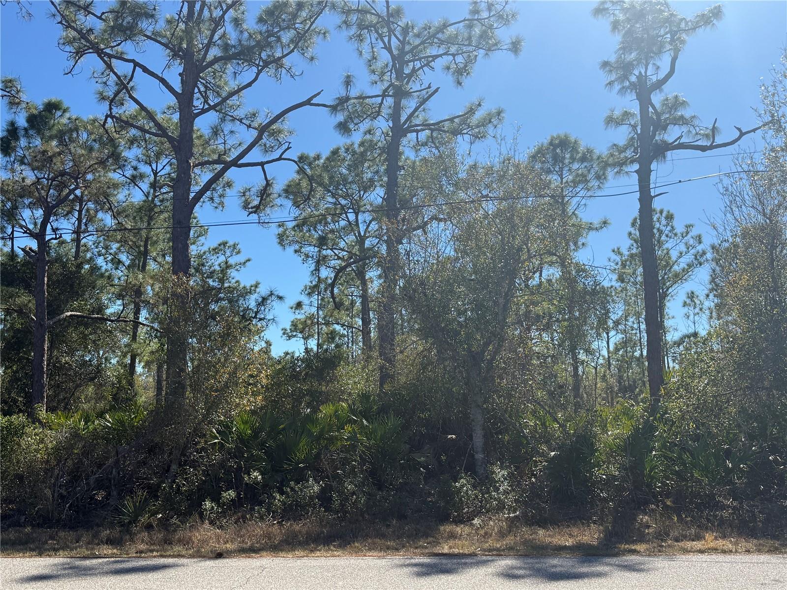 PORT CHARLOTTE SEC 013 - Land