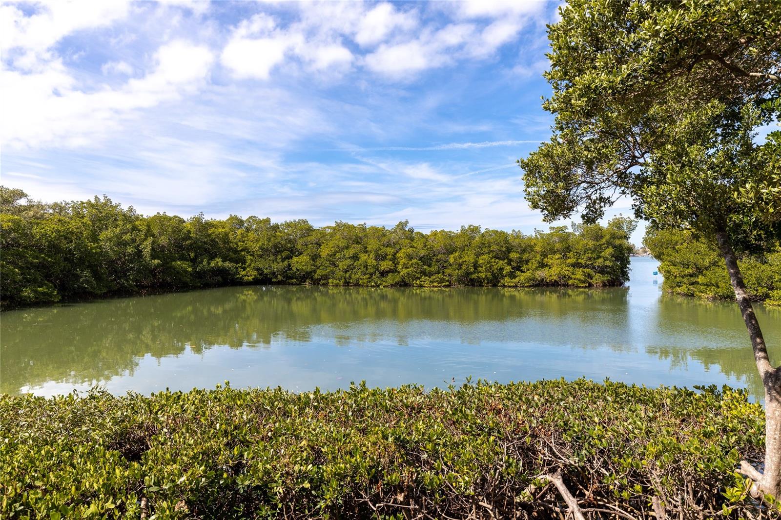 CHATEAU TOWER CONDO - Residential