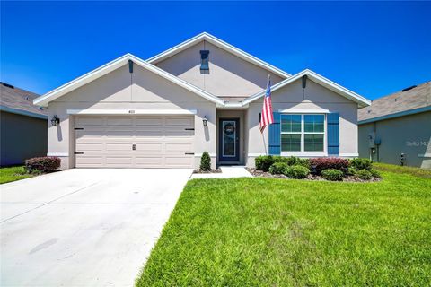 Photo of 4111 Autumn Amber Drive, Spring Hill, FL 34609 (MLS # OM722507)