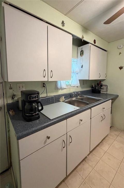 Tiny photo for 3315 Cr 431n, Lake Panasoffkee, FL 33538 (MLS # OM725119)