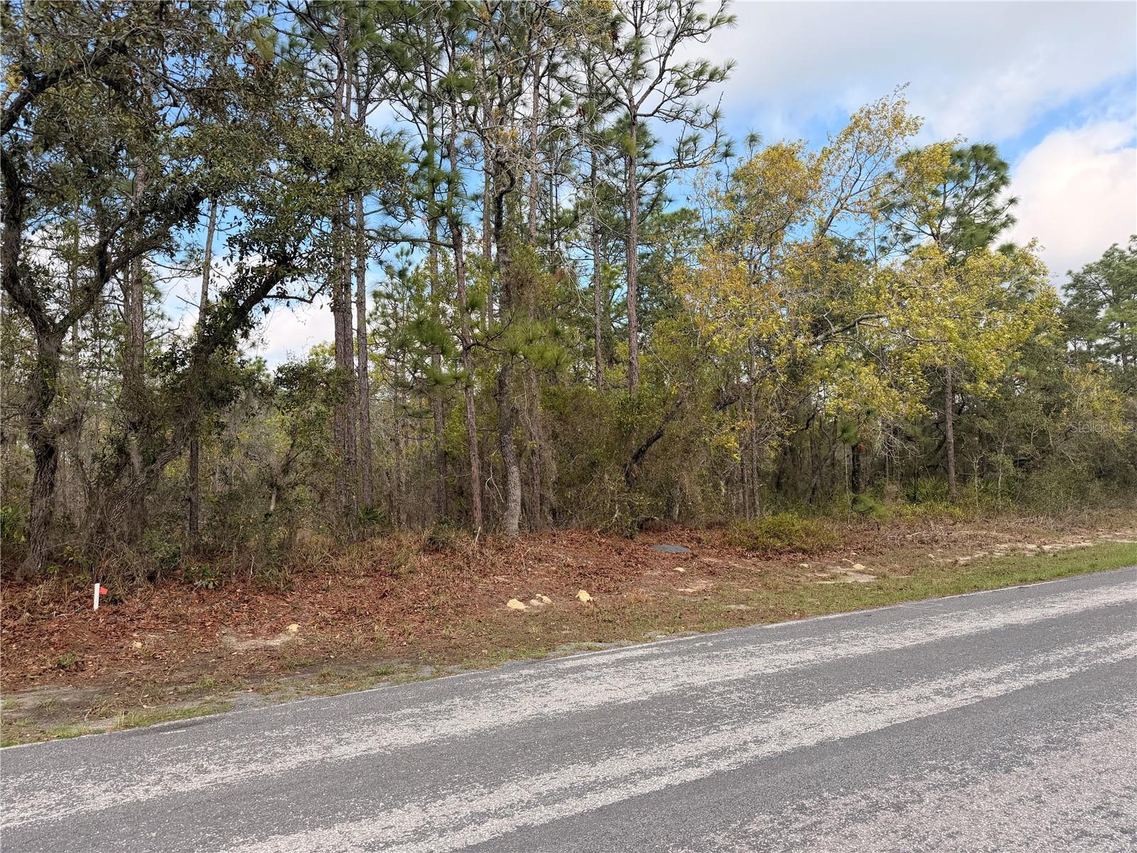 SUGARMILL WOODS CYPRESS VILLAGE - Land