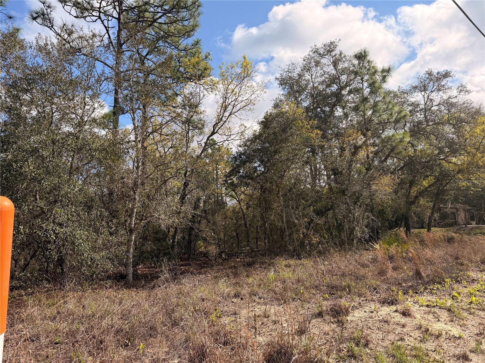 SUGARMILL WOODS CYPRESS VILLAGE - Land