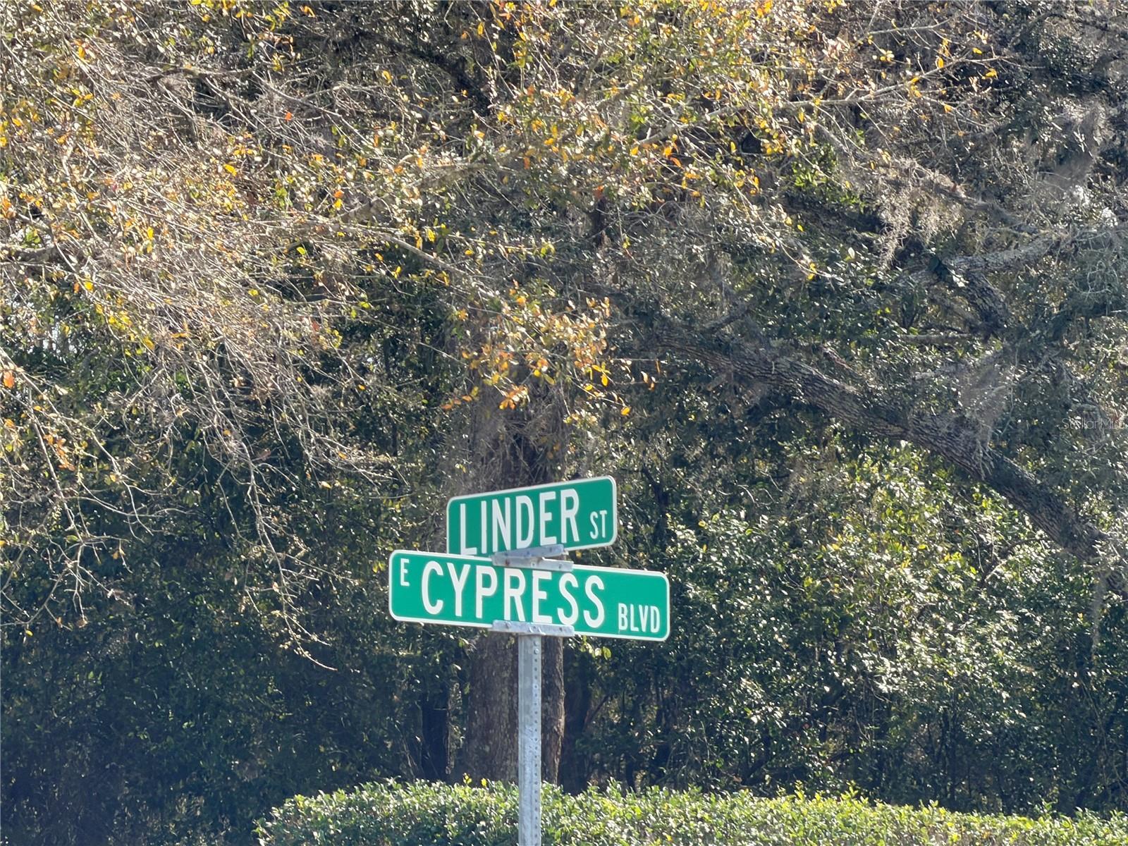 SUGARMILL WOODS CYPRESS VILLAGE - Land