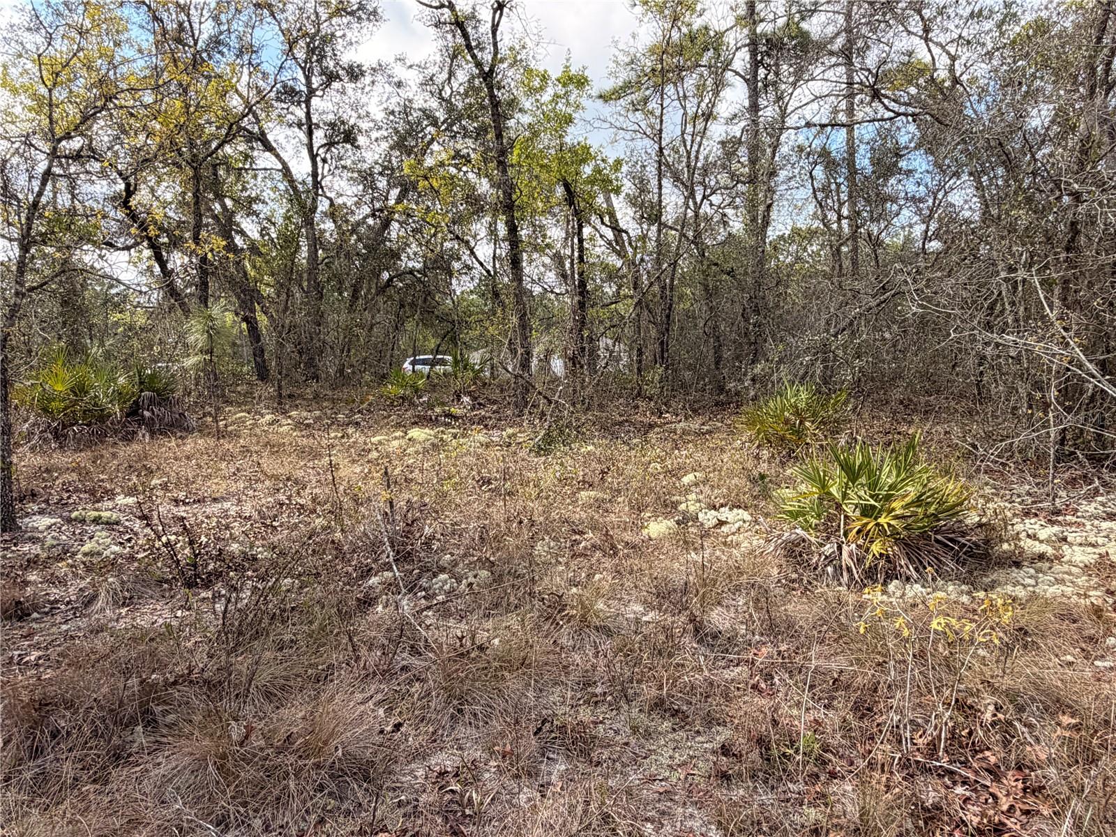 SUGARMILL WOODS CYPRESS VILLAGE - Land