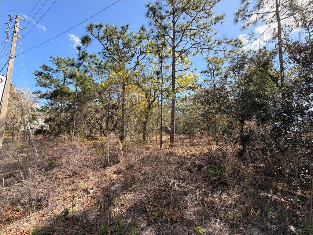 Photo of 2 Linder Street, Homosassa, FL 34446 (MLS # TB8485612)