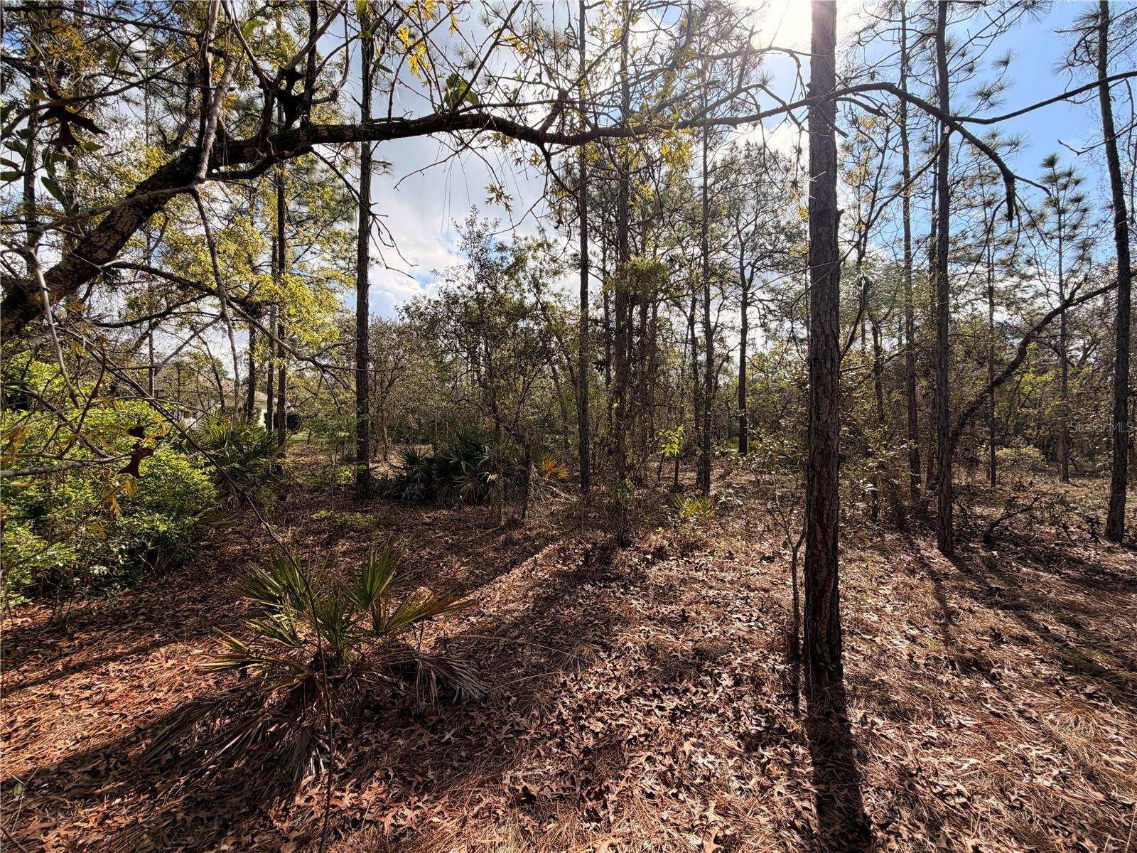 SUGARMILL WOODS CYPRESS VILLAGE - Land