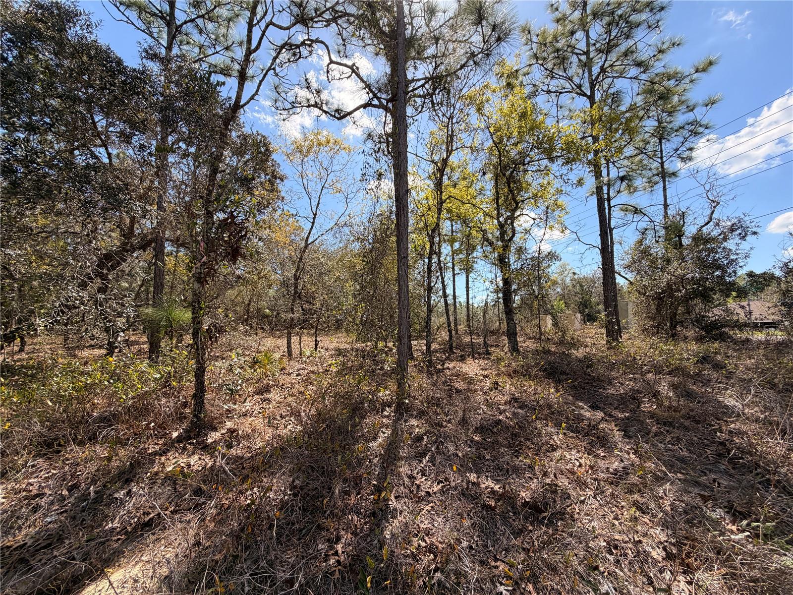 SUGARMILL WOODS CYPRESS VILLAGE - Land