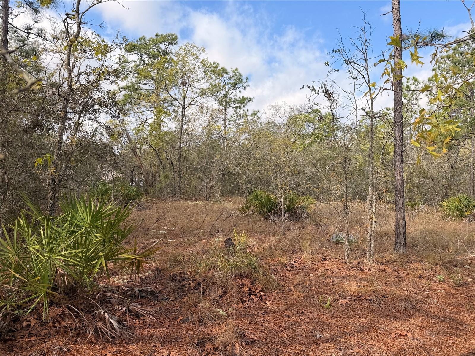 SUGARMILL WOODS CYPRESS VILLAGE - Land