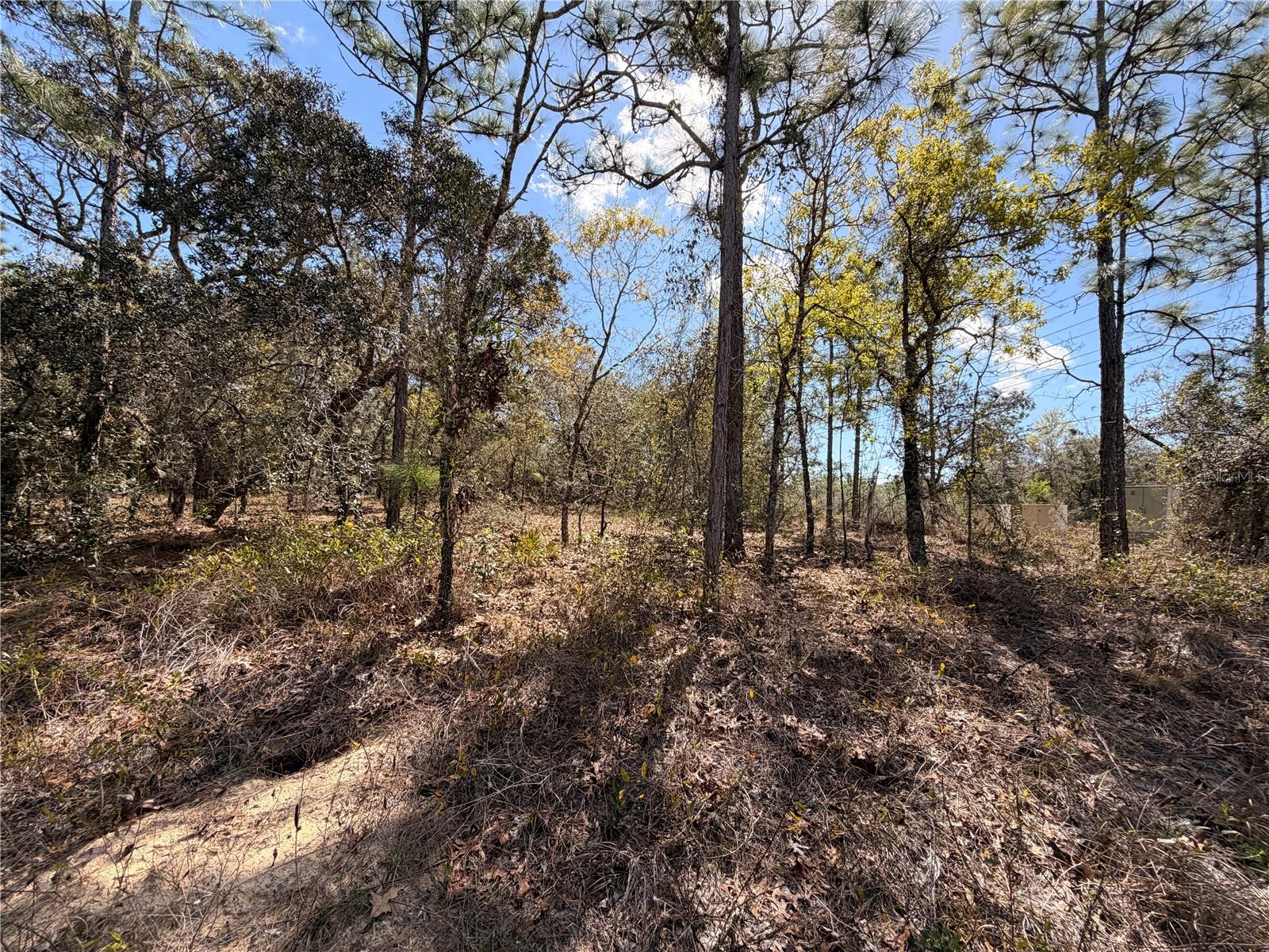 SUGARMILL WOODS CYPRESS VILLAGE - Land