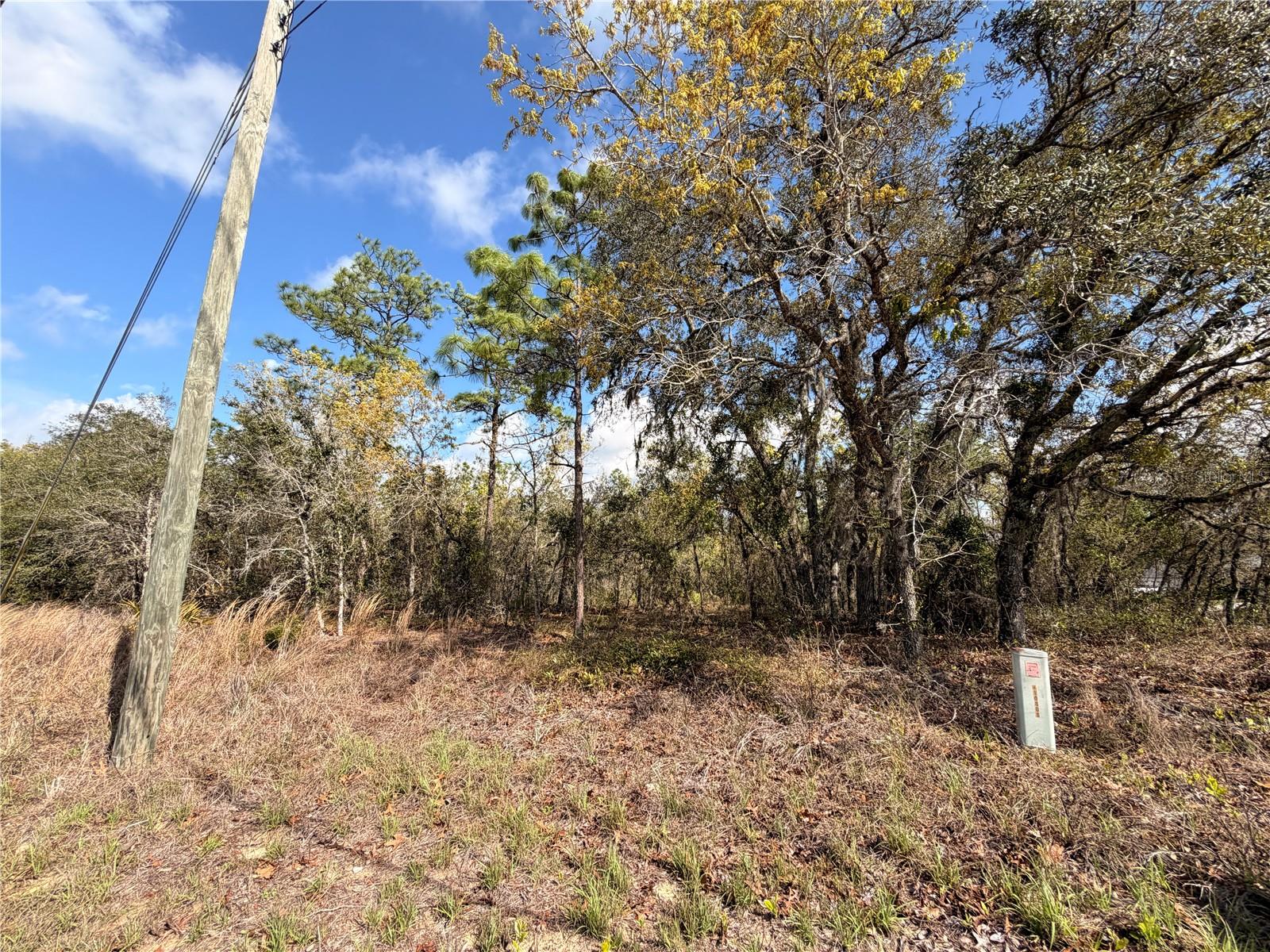 SUGARMILL WOODS CYPRESS VILLAGE - Land