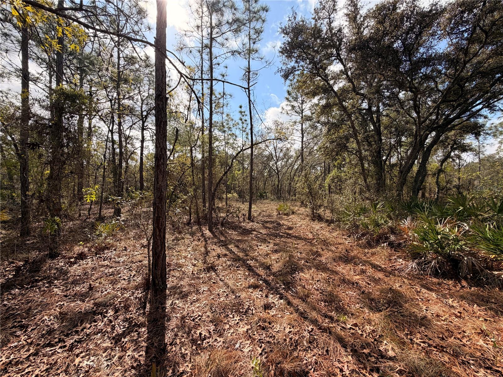 SUGARMILL WOODS CYPRESS VILLAGE - Land