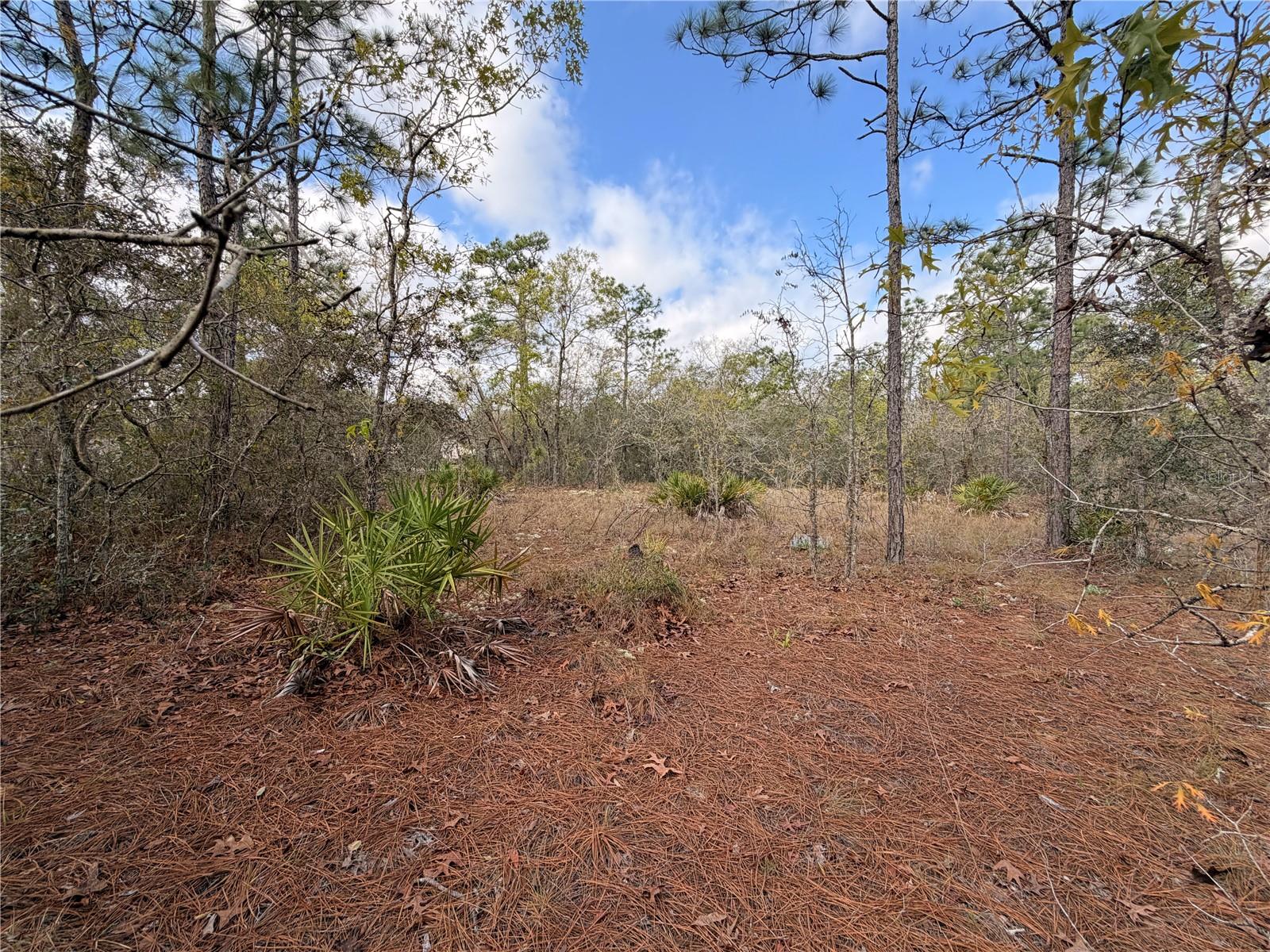 SUGARMILL WOODS CYPRESS VILLAGE - Land