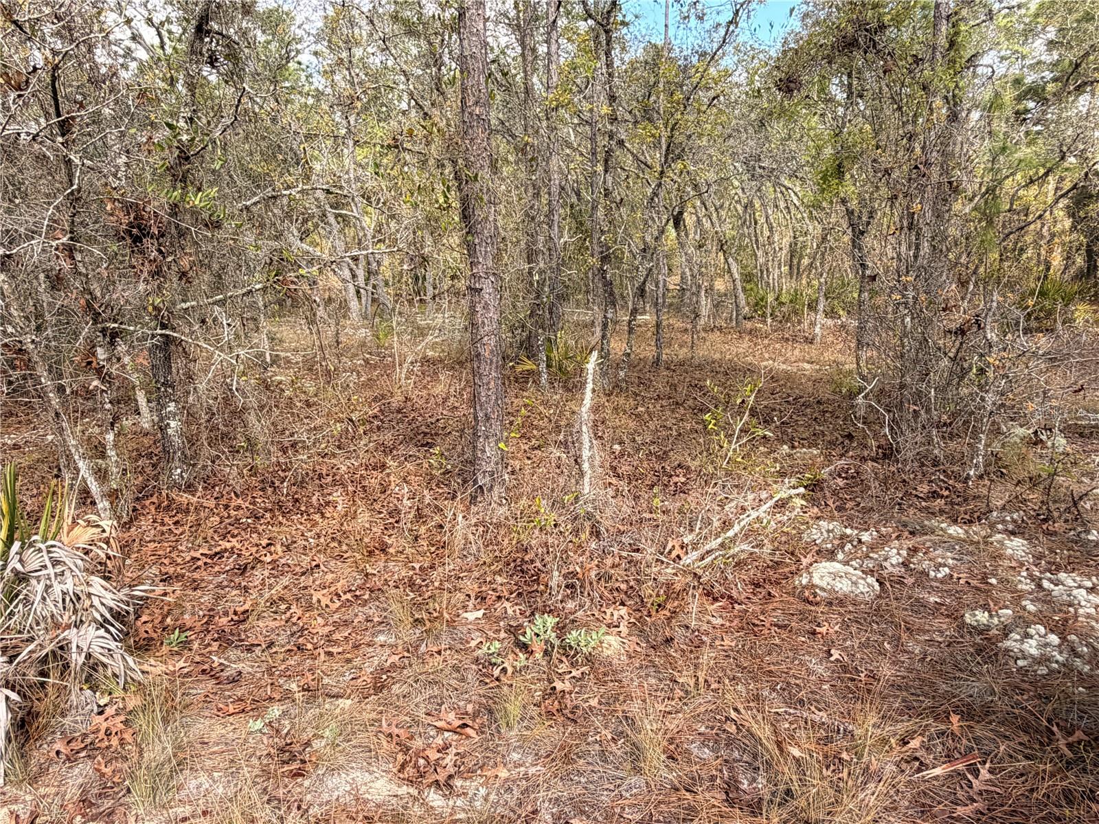 SUGARMILL WOODS CYPRESS VILLAGE - Land