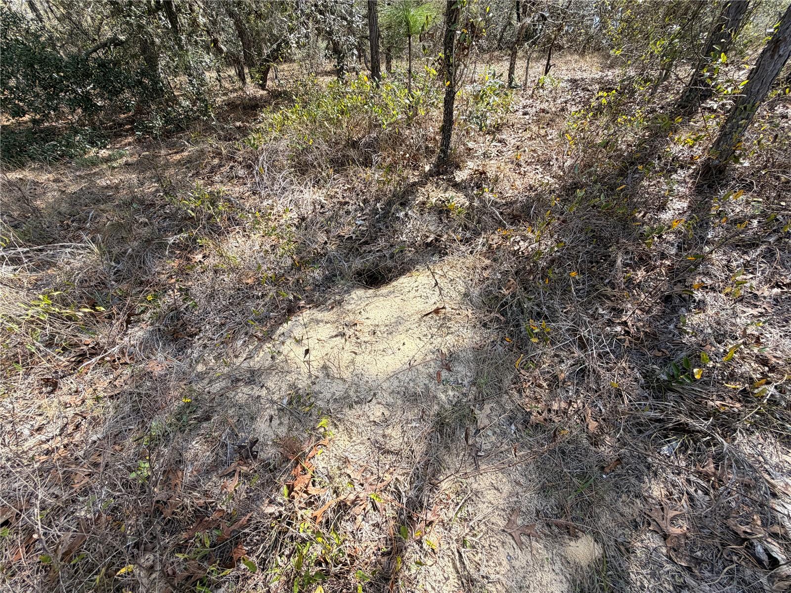 SUGARMILL WOODS CYPRESS VILLAGE - Land