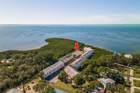 A home in TARPON SPRINGS