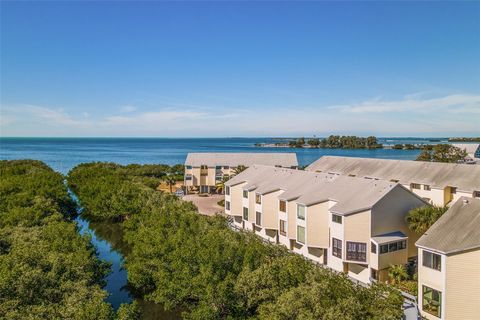 A home in TARPON SPRINGS