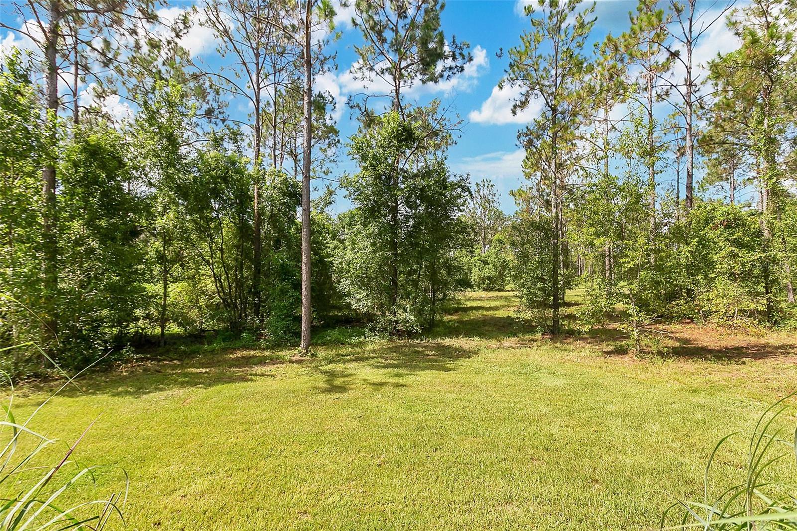 GROVELAND FARMS R24-T22-S35 - Residential