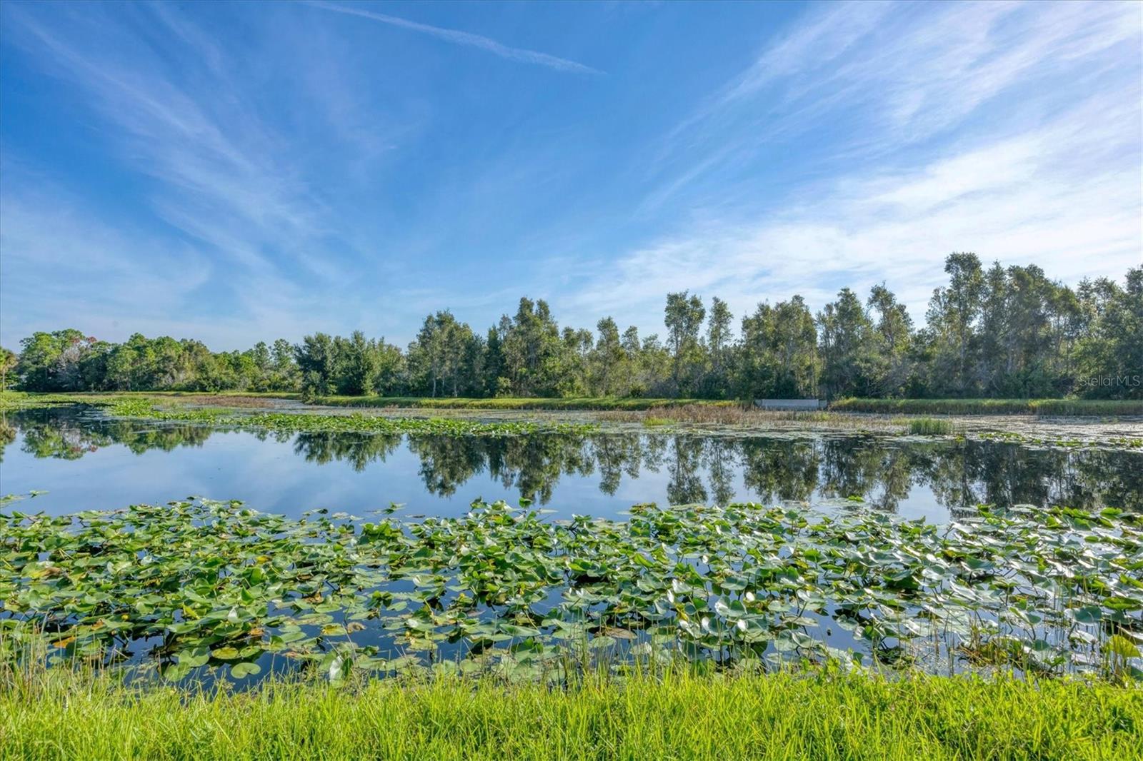 SOUTH PRESERVE 1 AT WATERSIDE - Residential