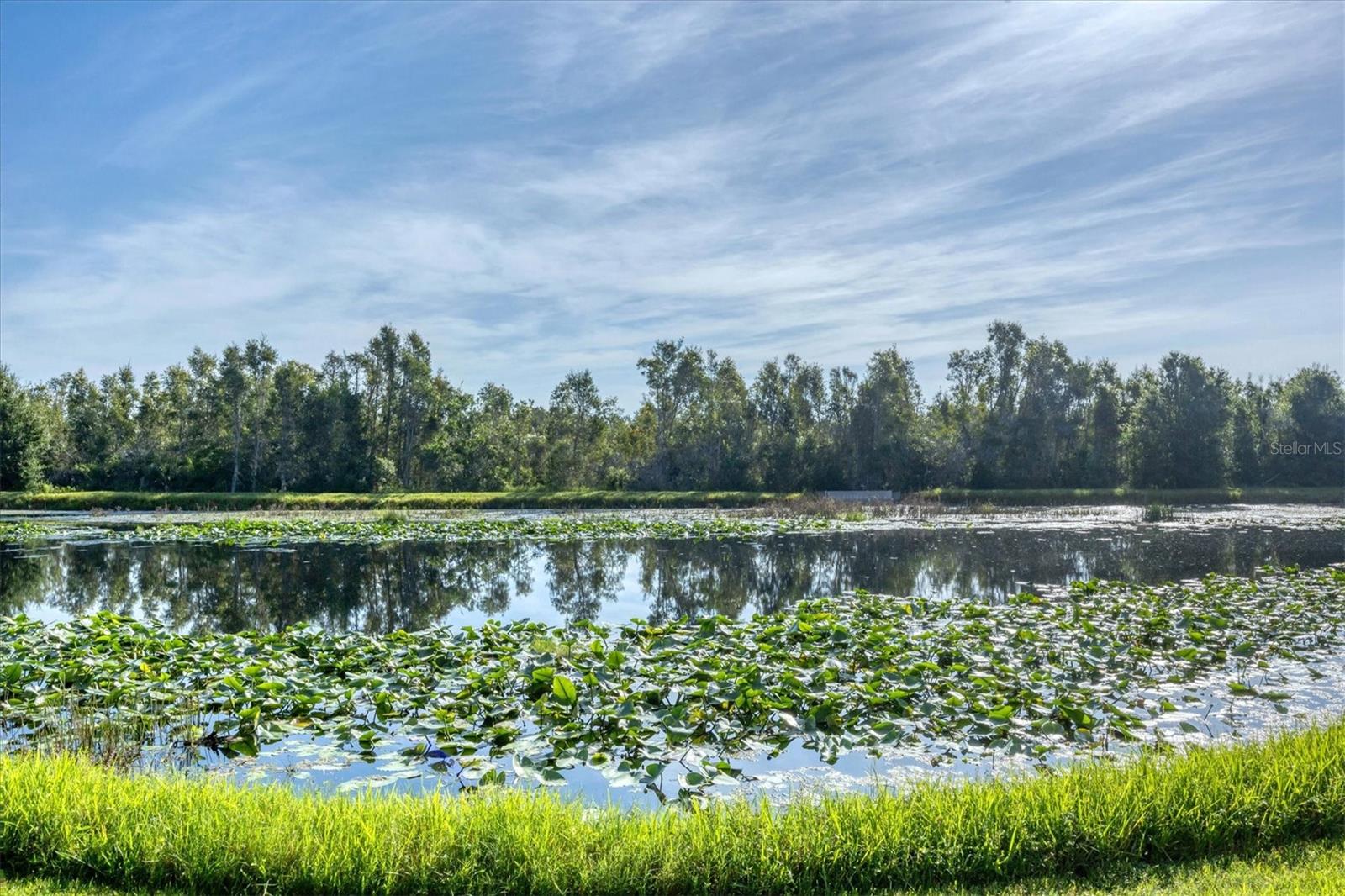 SOUTH PRESERVE 1 AT WATERSIDE - Residential