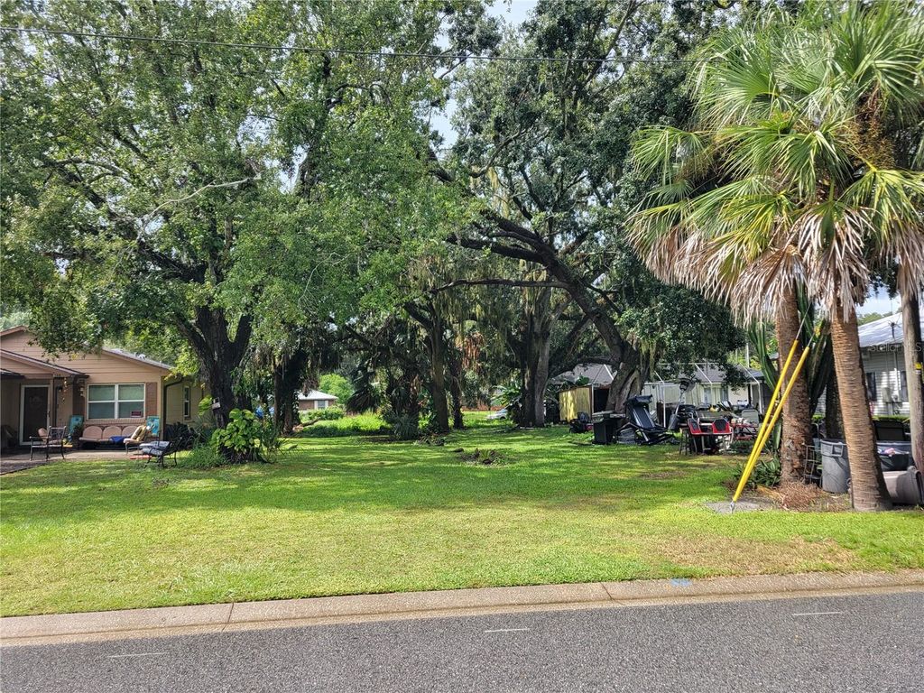Photo of 188 Mary Street, Winter Garden, FL 34787 (MLS # O6352643)