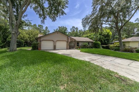 A home in NEW PORT RICHEY