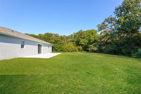 A home in DELTONA