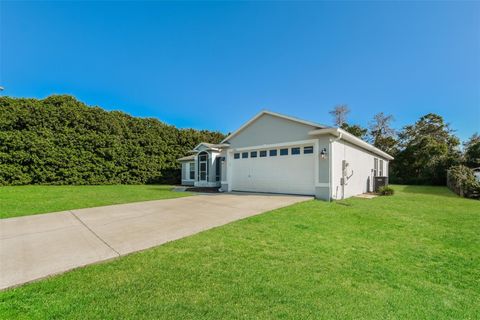 A home in DELTONA